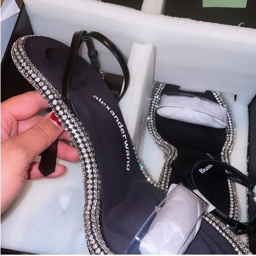 Alexander wang
